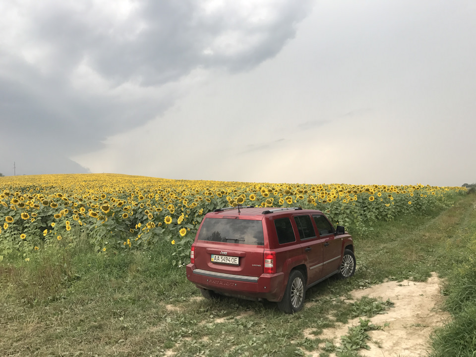 Львівська область 1