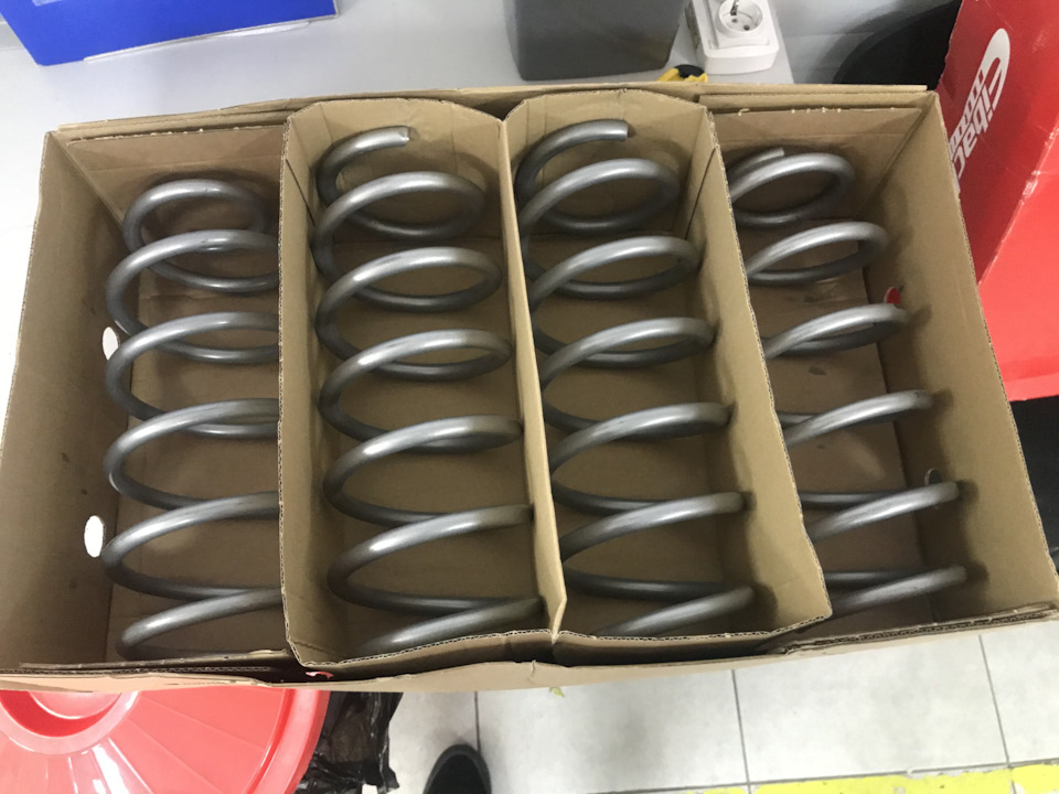 Пружини Eibach ProLift Kit для Rage. Які не дають ліфт 3