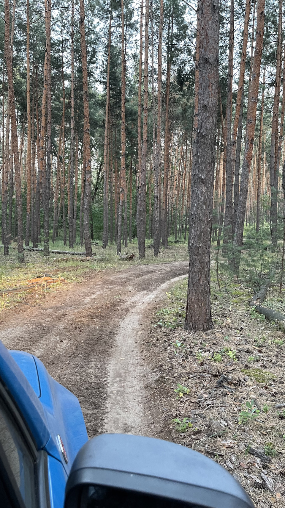 Печеніги! - у Харкові ще є місця 5