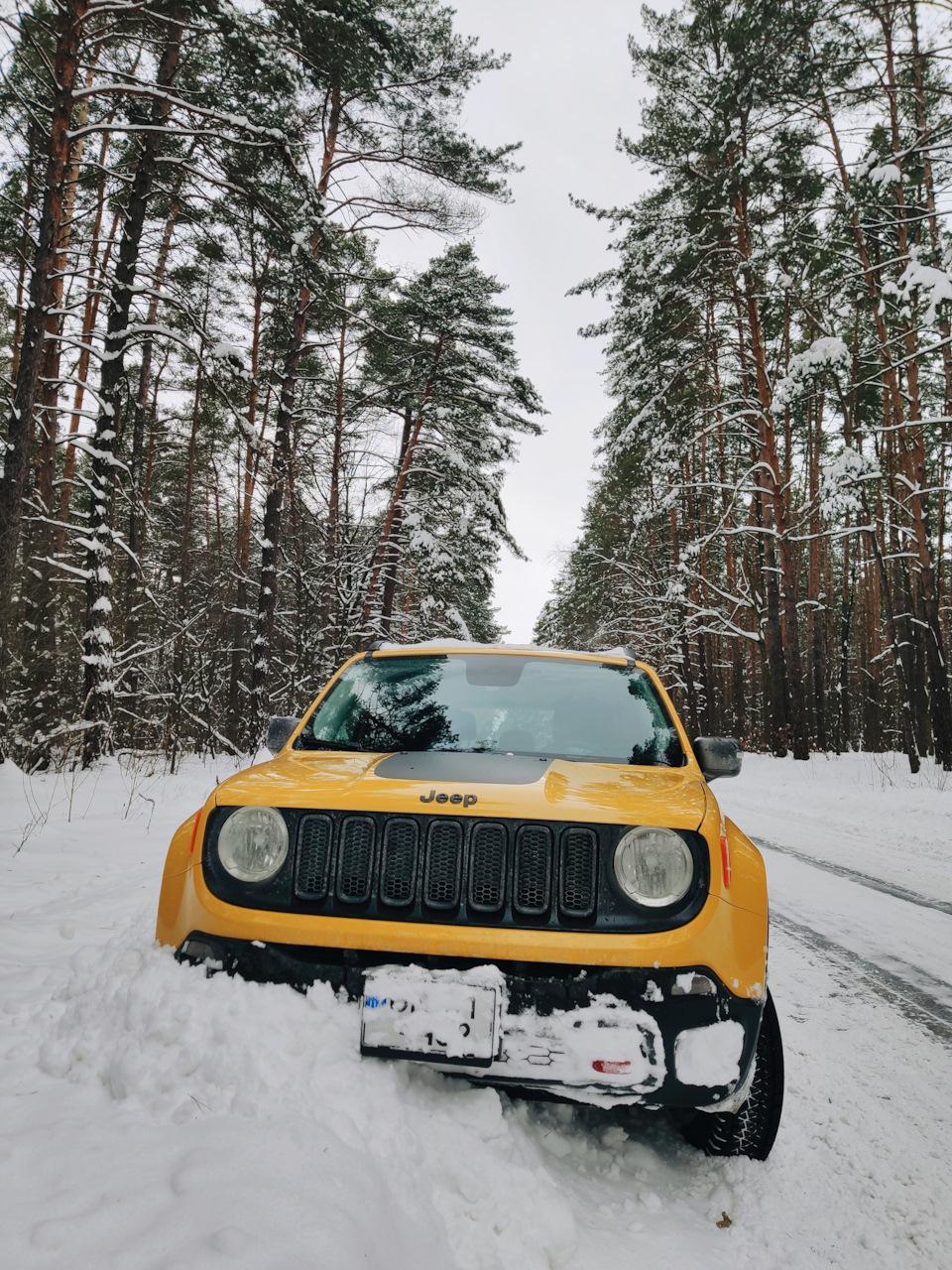 Перша зима 2020-2021. Перезимував! ❄️🐥 5
