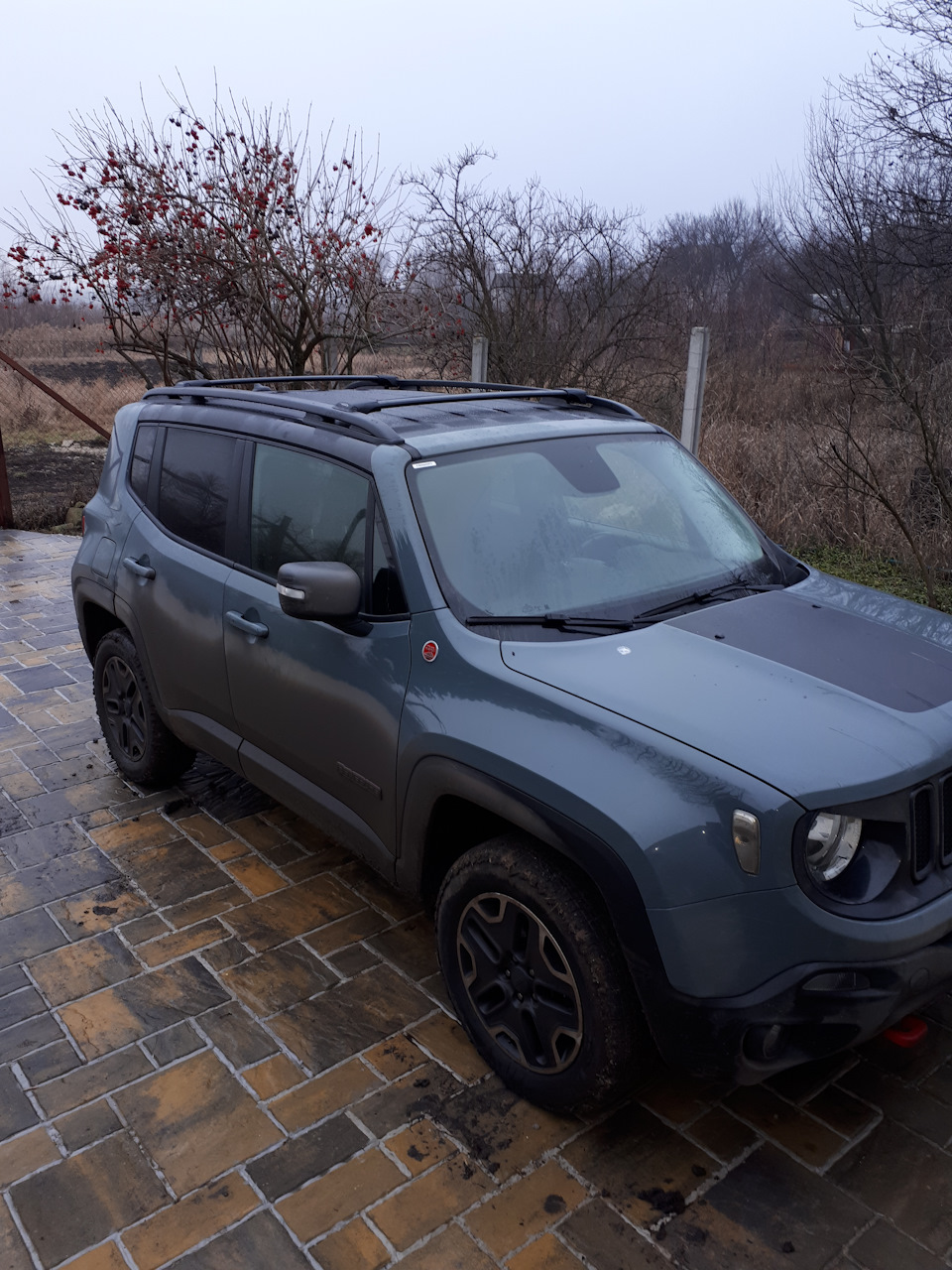 поперечні рейлінги 1