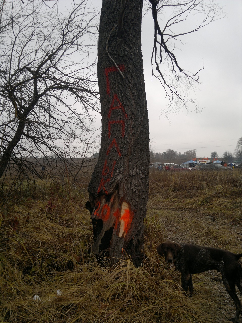 Гаплик трофі 2011 1