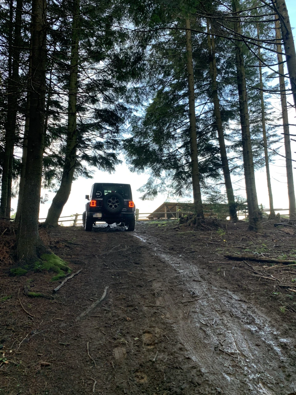 Rubicon у Карпатах