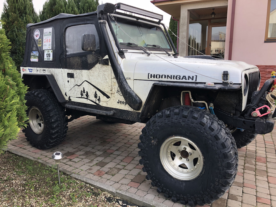 CST CL 18 Нове взуття 38 тапки на Бобика 5