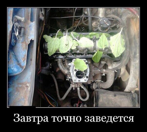 Jeepo-глюк або криві руки. P1388 1