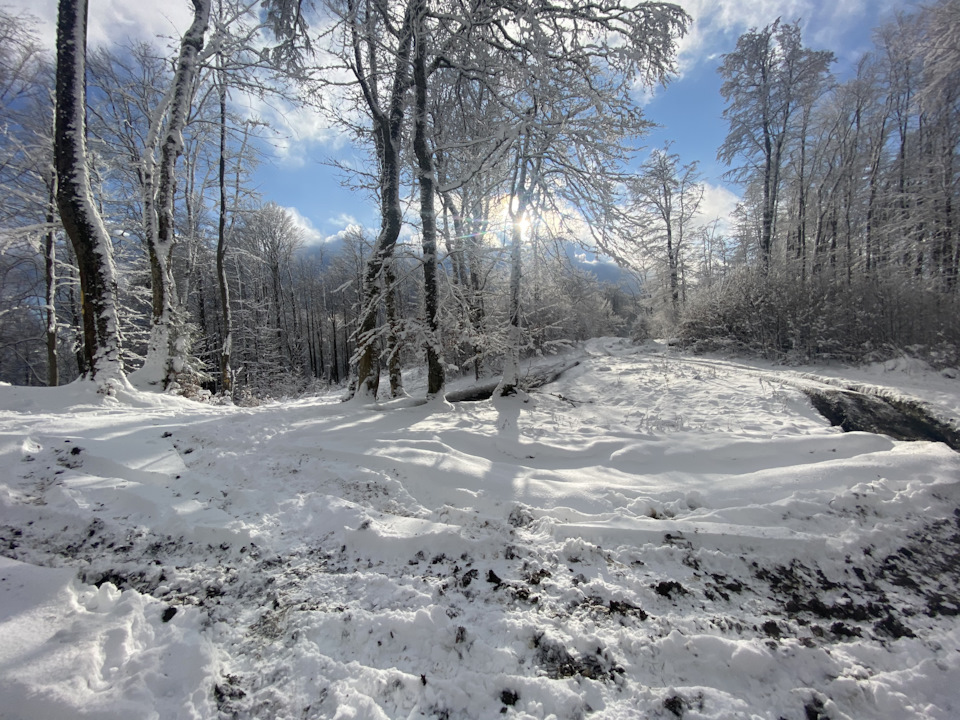 Поїздка до Драгобрату🌨💨☃️ 3