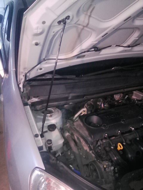 Газовий упор капота Kia Carens III 1