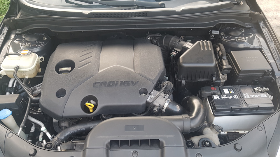 Люблю чистоту під капотом СІІД 1.6 Д. 2