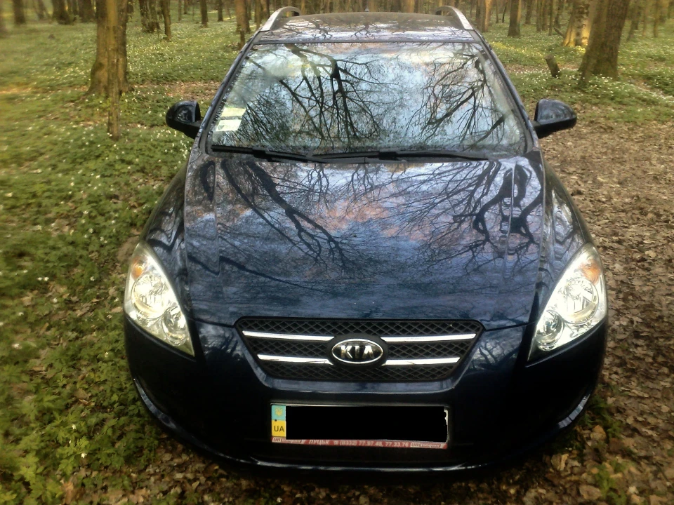 Cars & Nature