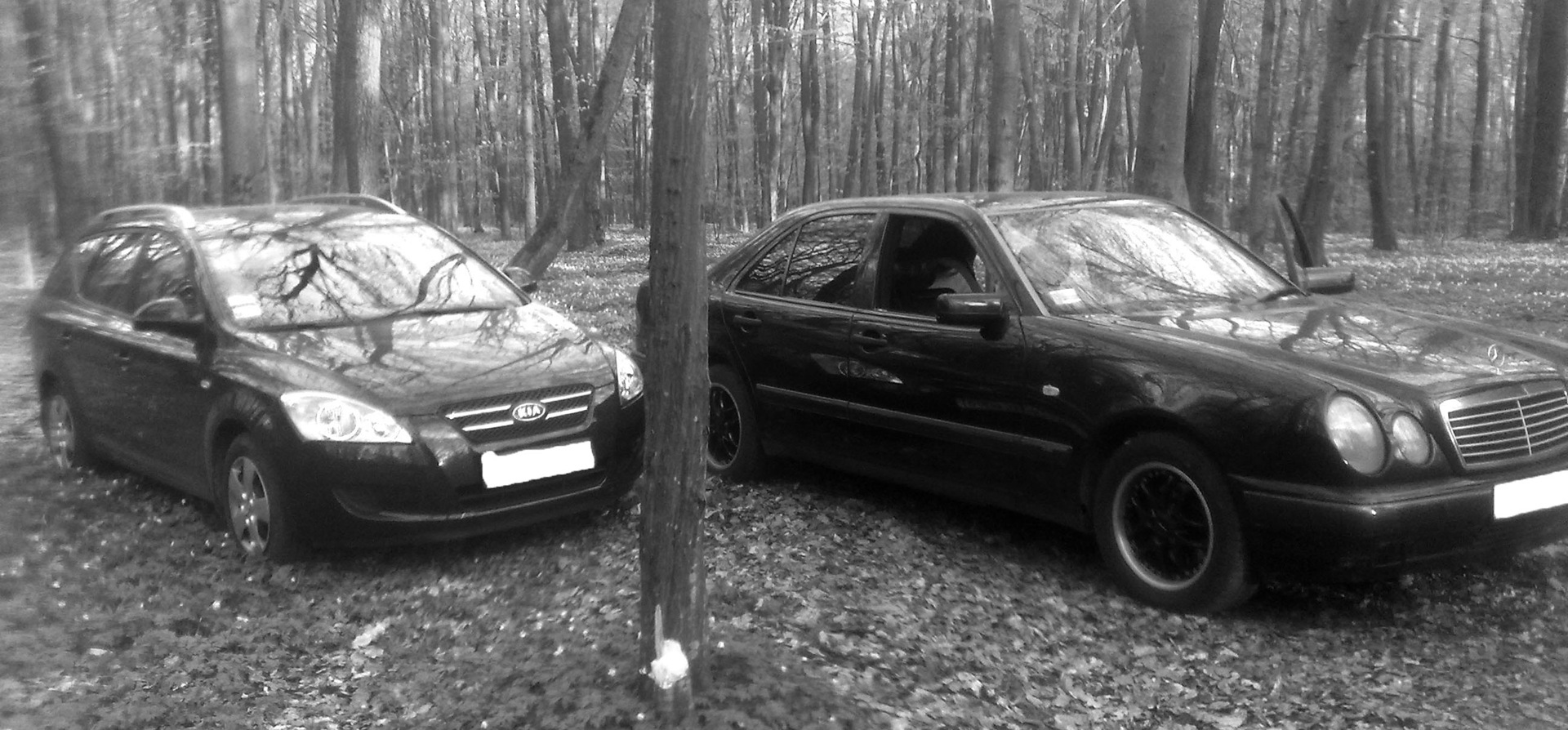 Cars & Nature 2