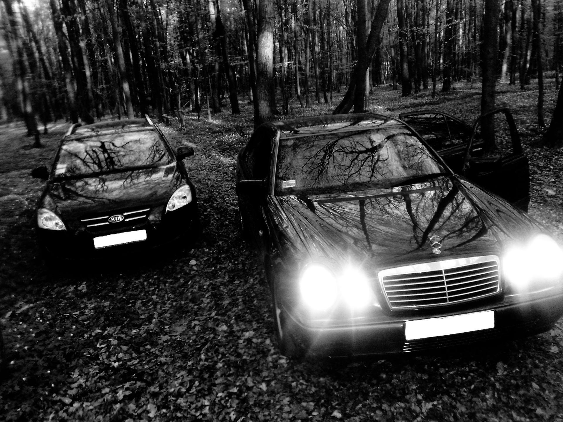 Cars & Nature 3