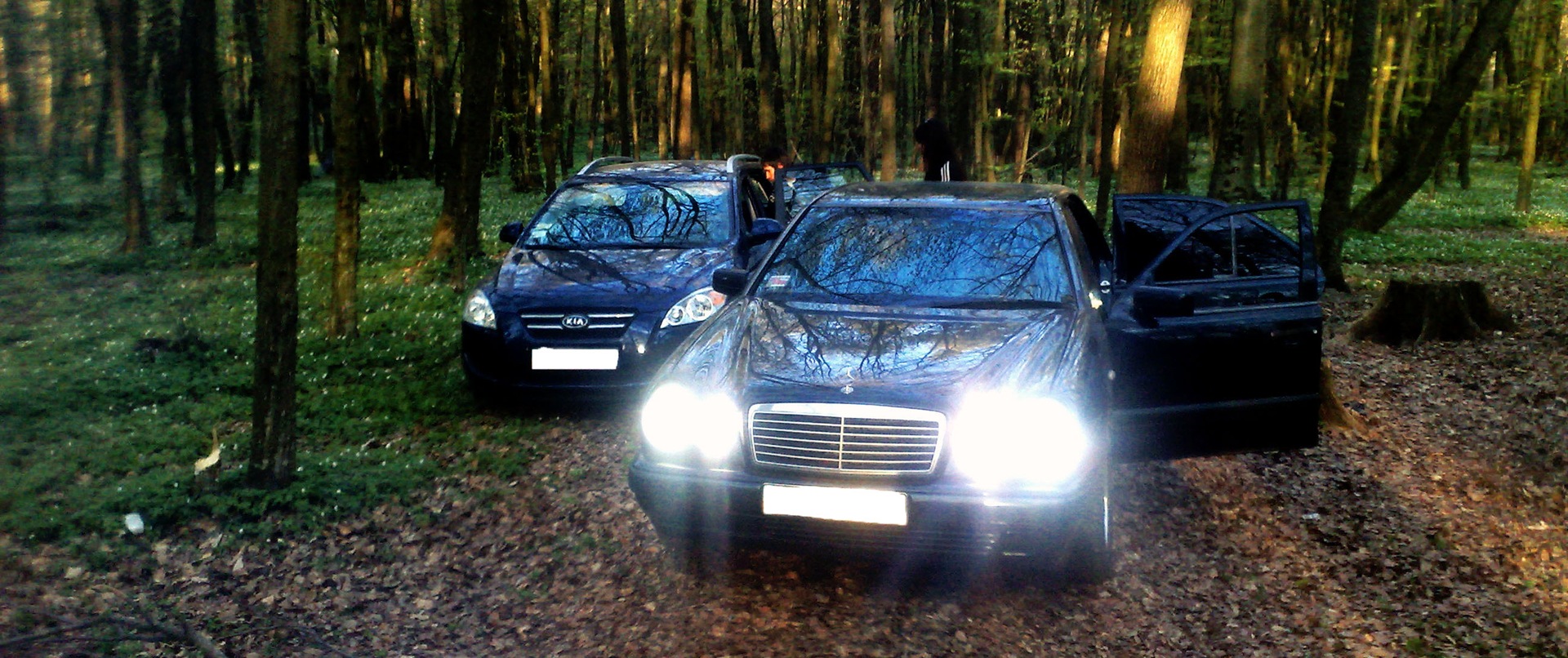 Cars & Nature 4