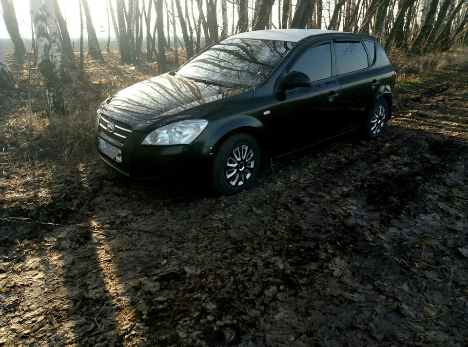 Купив літню гуму Goodyear EfficientGrip Performance 195/65 R15 91H 3