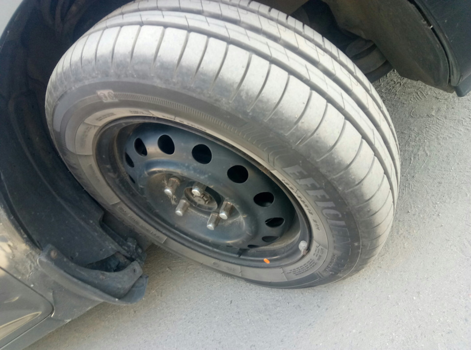 Купив літню гуму Goodyear EfficientGrip Performance 195/65 R15 91H 2
