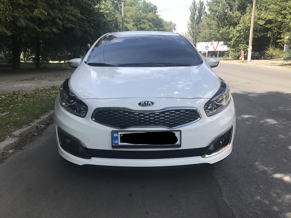 +20 🐴 или дЕрзкиЕ глаза 👀 1