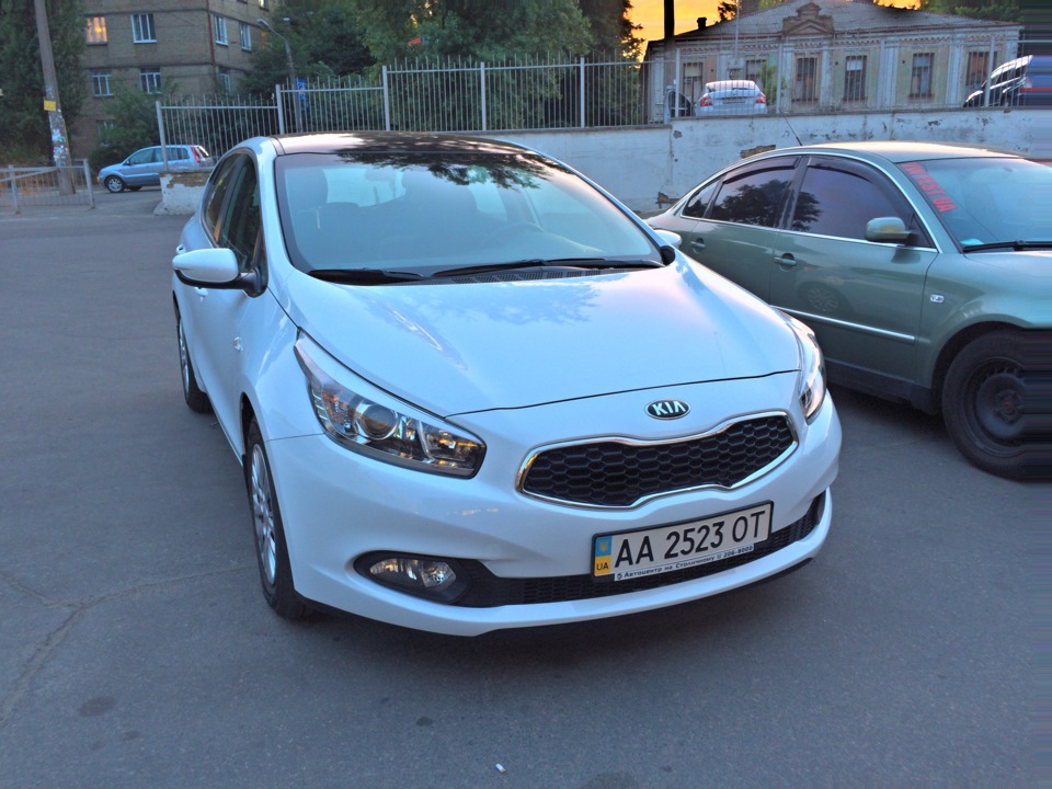 Soft99 12month захист 1