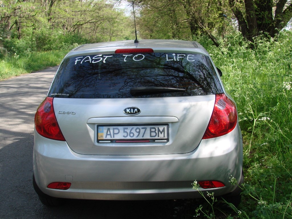 Fast to Life 1