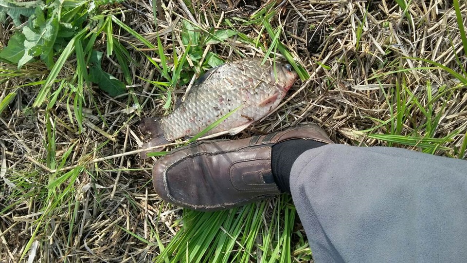 Вилазка на природу озеро в с. Летвинівка 1