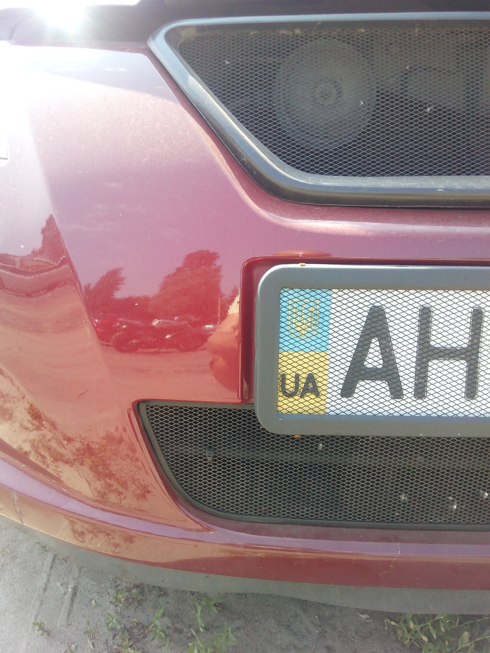 Сітка на авто 1