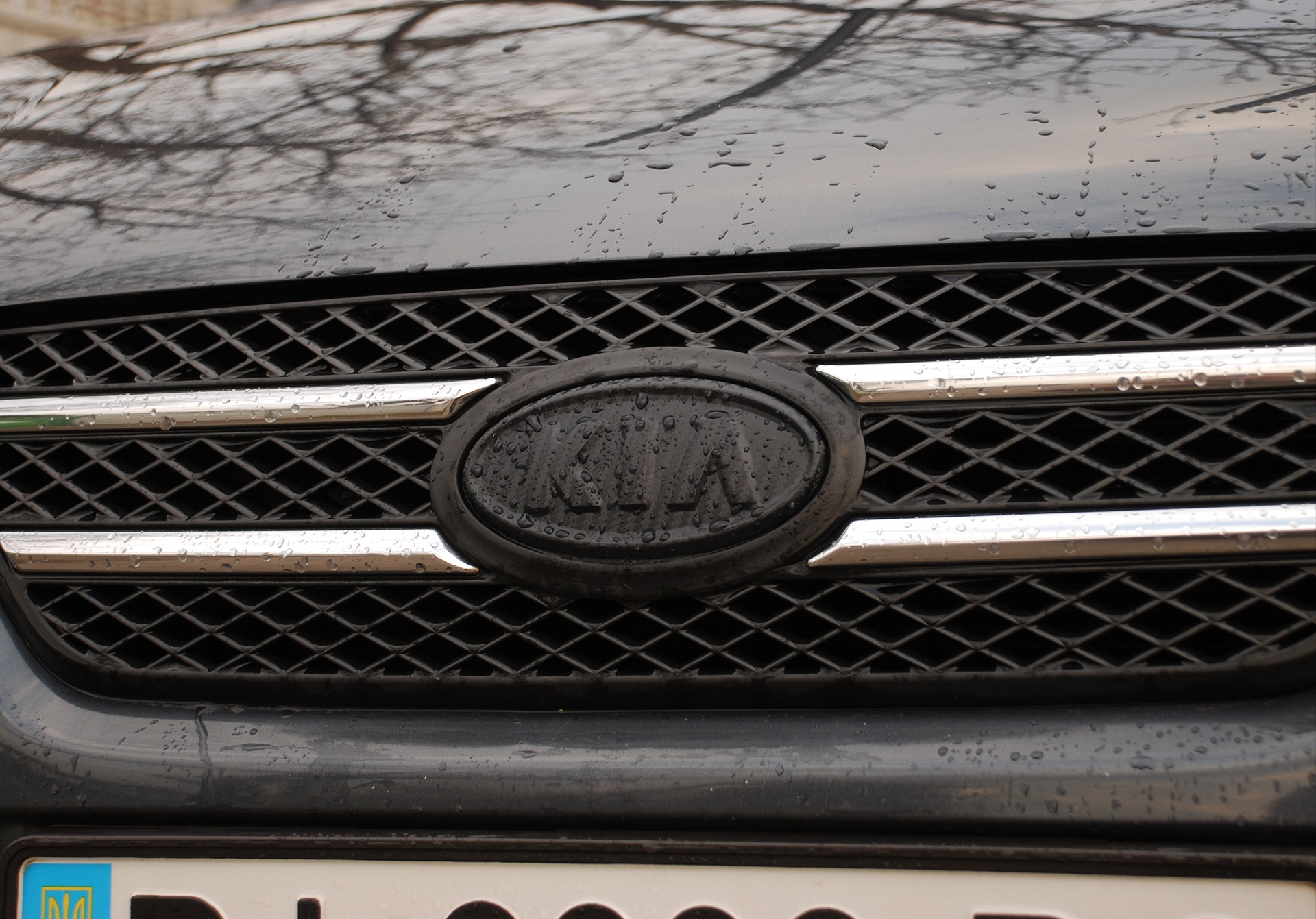 Carbon Badge 1