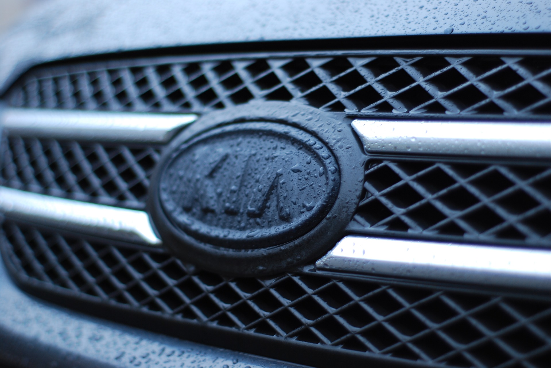 Carbon Badge 3