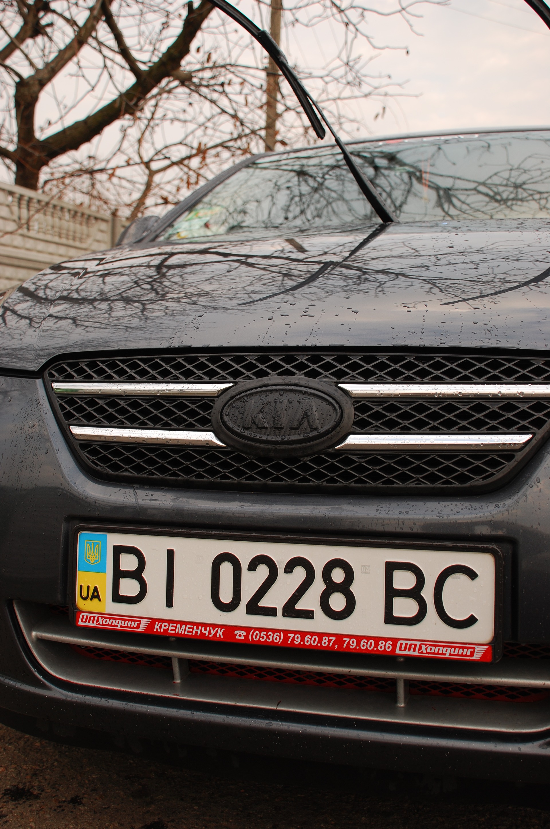 Carbon Badge 2