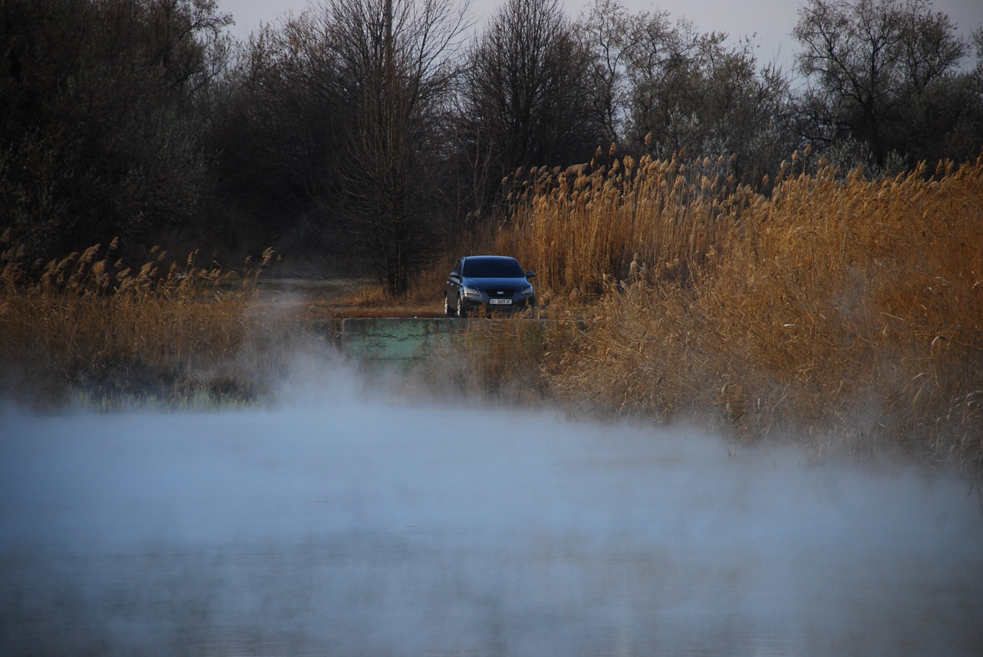 Запис, 12 грудня 2011 року 5