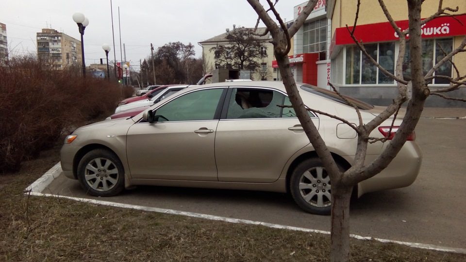 Неприємності ранку! 1