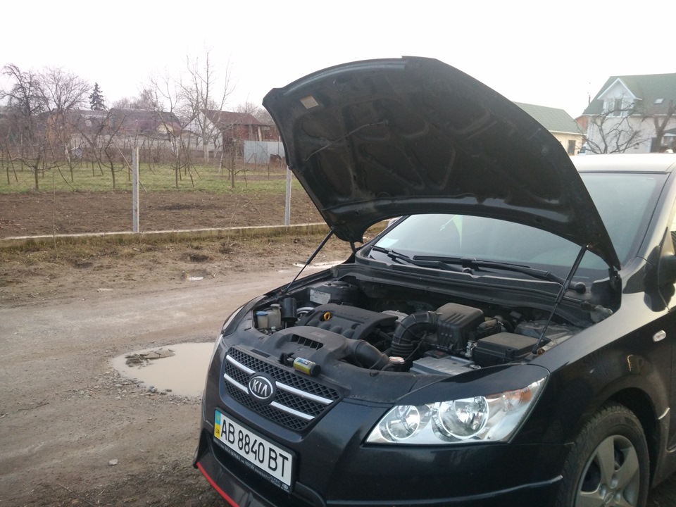 Газові упори капота 2х 4