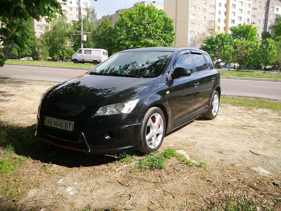 Кед шукає нових тата і маму :( 1