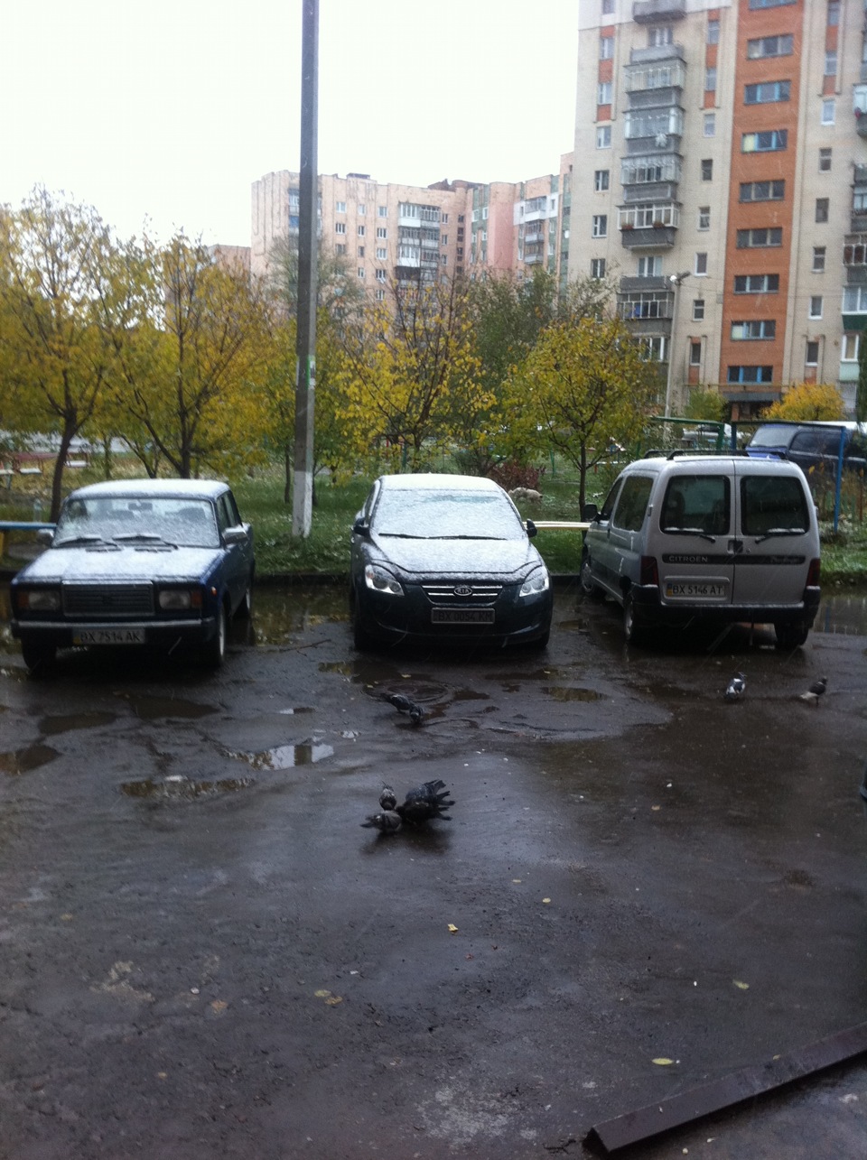 Тонування задніх фар!))) 1