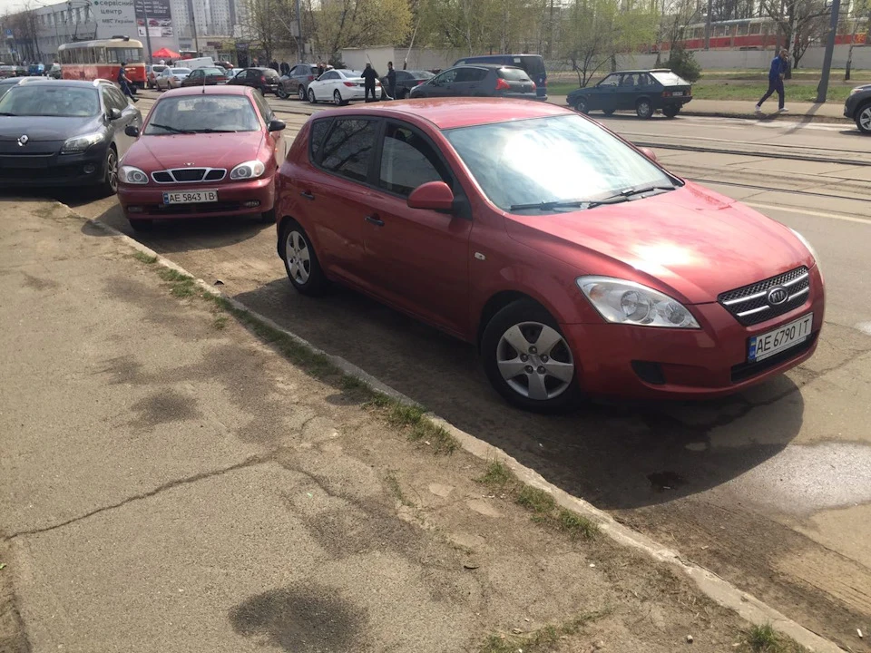 Покупка та знайомство