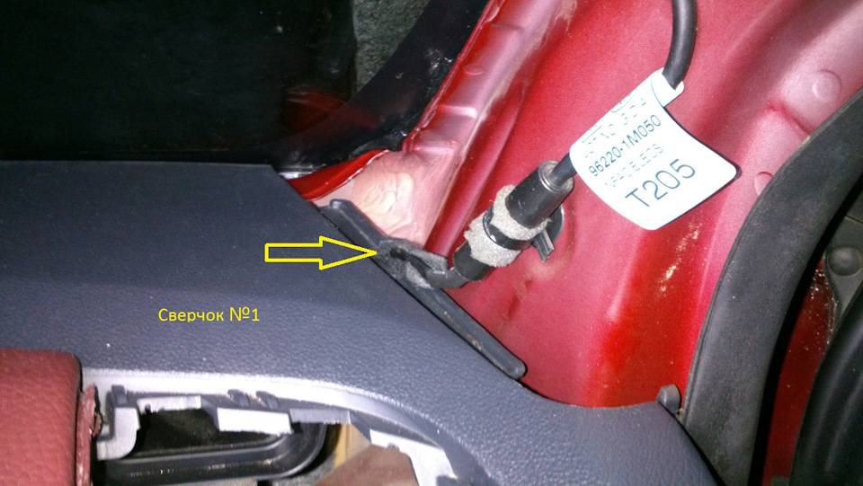 Усунення цвіркунів. 3