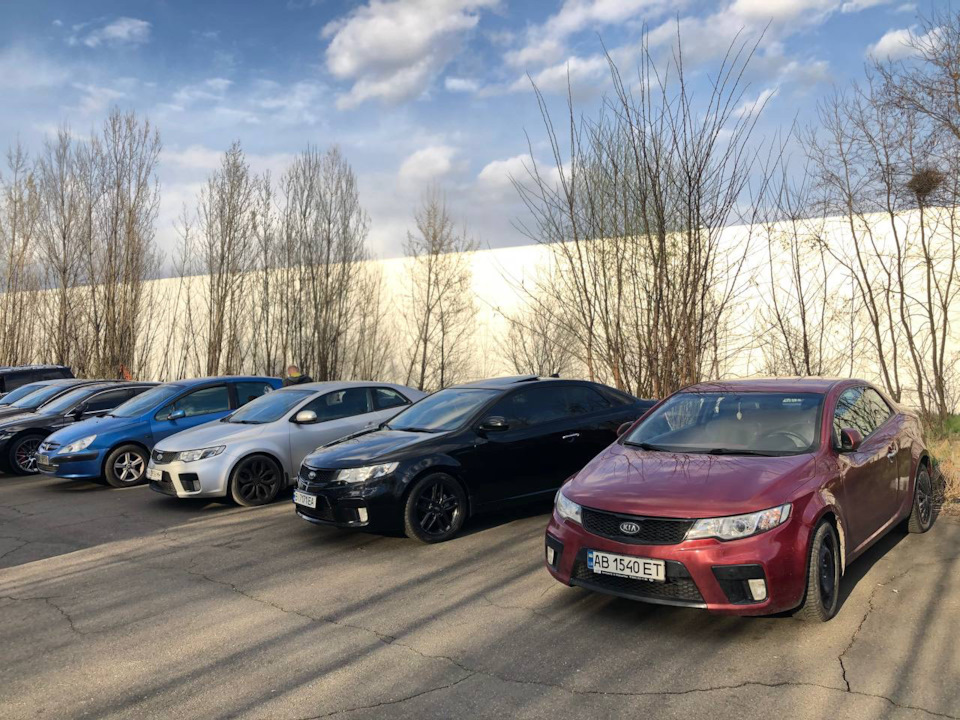 Знову черхуха 😎 2