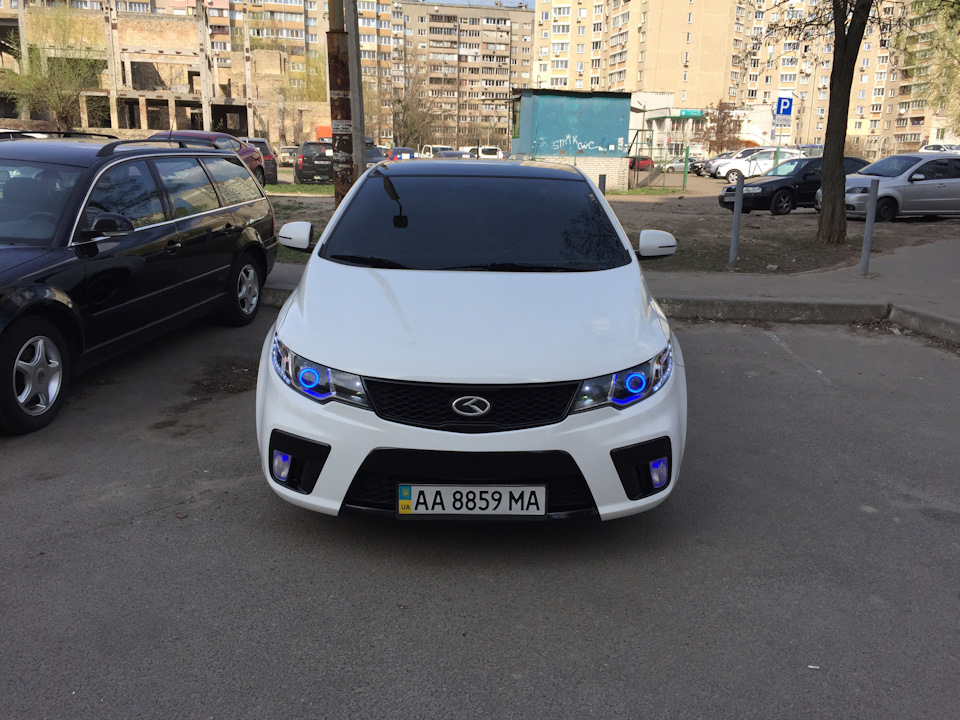 Свіжі фото як вони є) 2