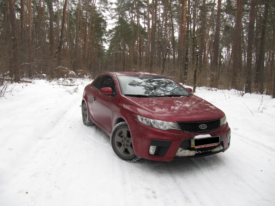 Тонування 1