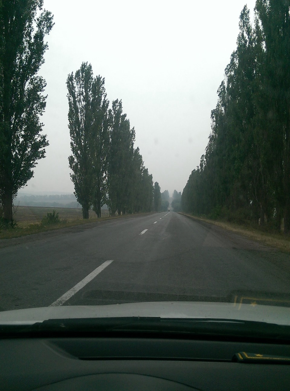 Дорога на весілля та парочка фото 3