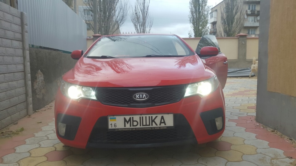 Бі-ксенон Koito Original line Q5+Hella+Philips d2s 4