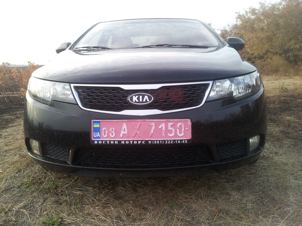 Новий кінь 2