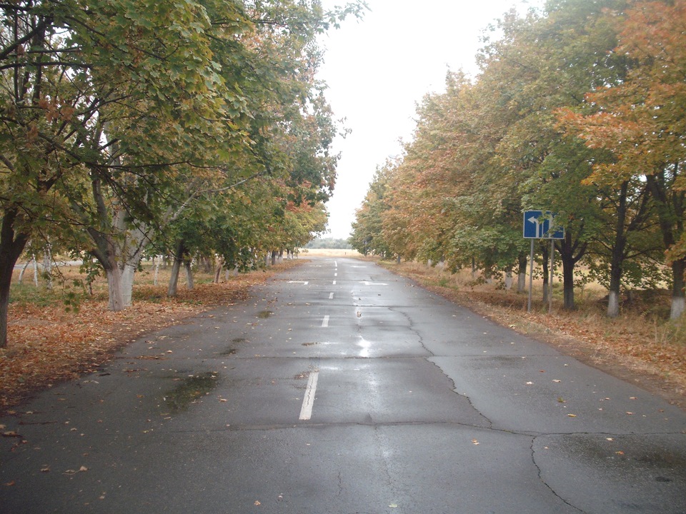 Трохи осінніх фото + маленька покупка. 5