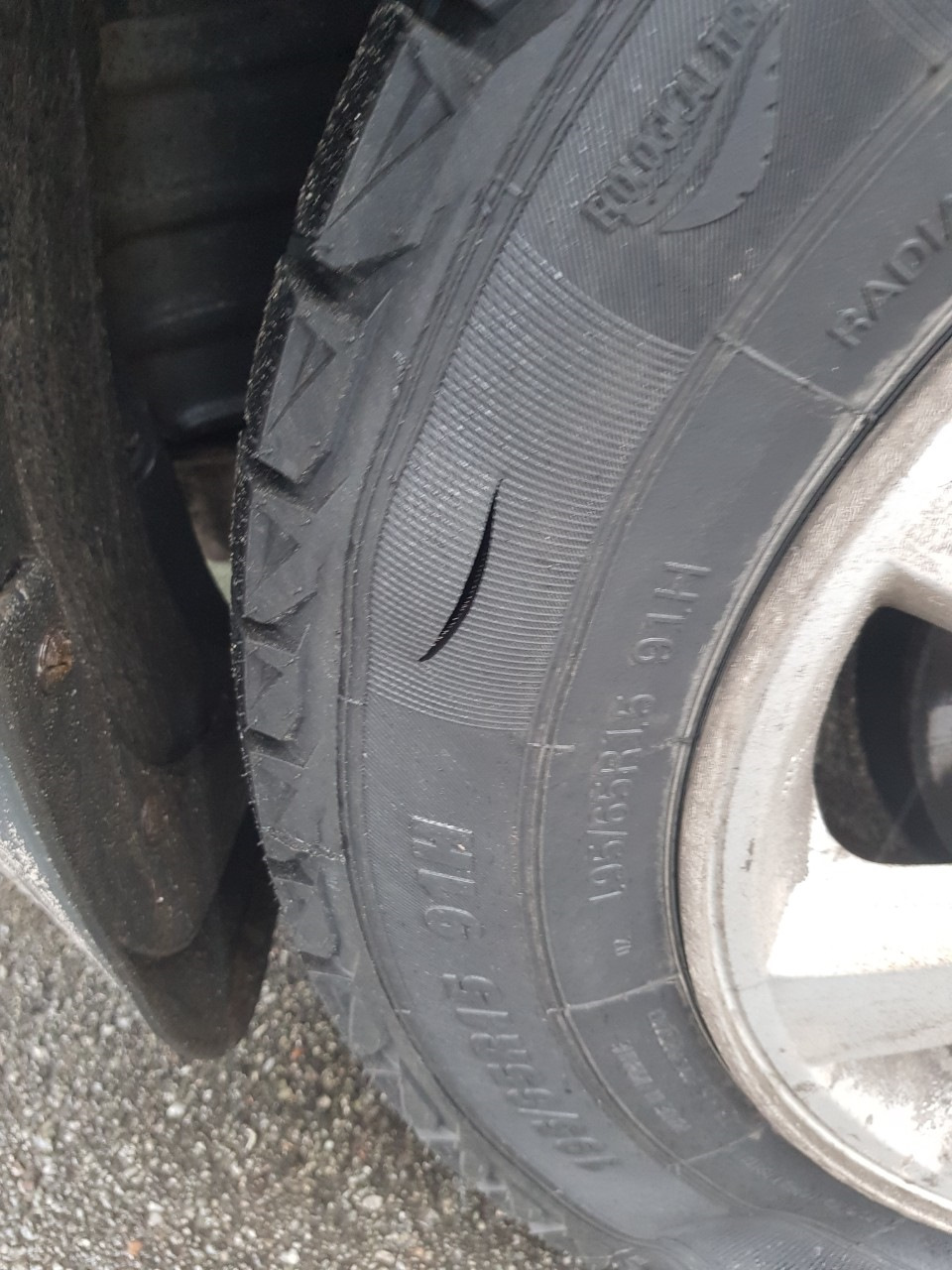 Порізали 5