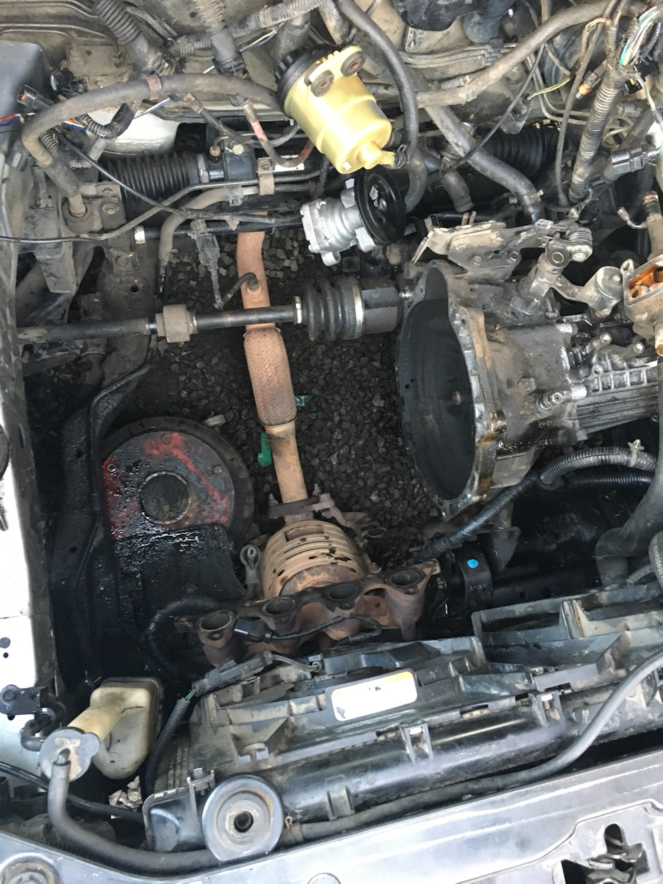 Привіт, капіталочко! 1