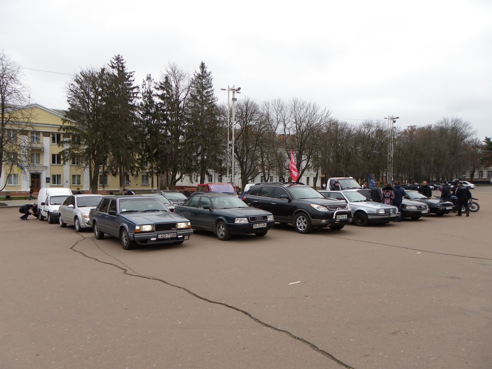 День пам'яті жертв ДТП 3