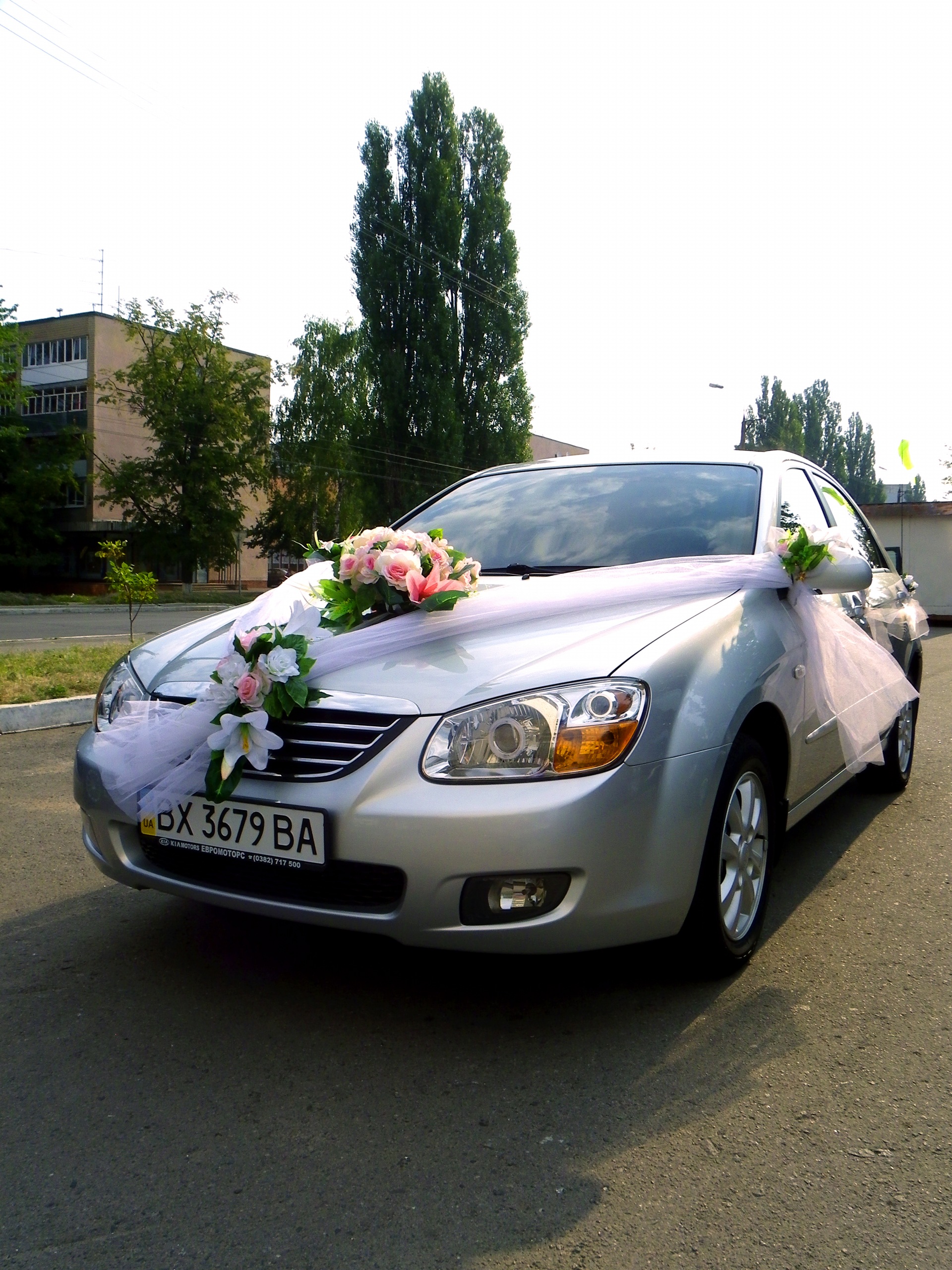 Возив весілля (: 5