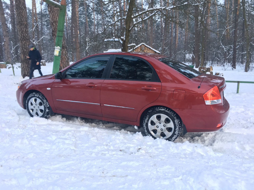 Задні пружини 5