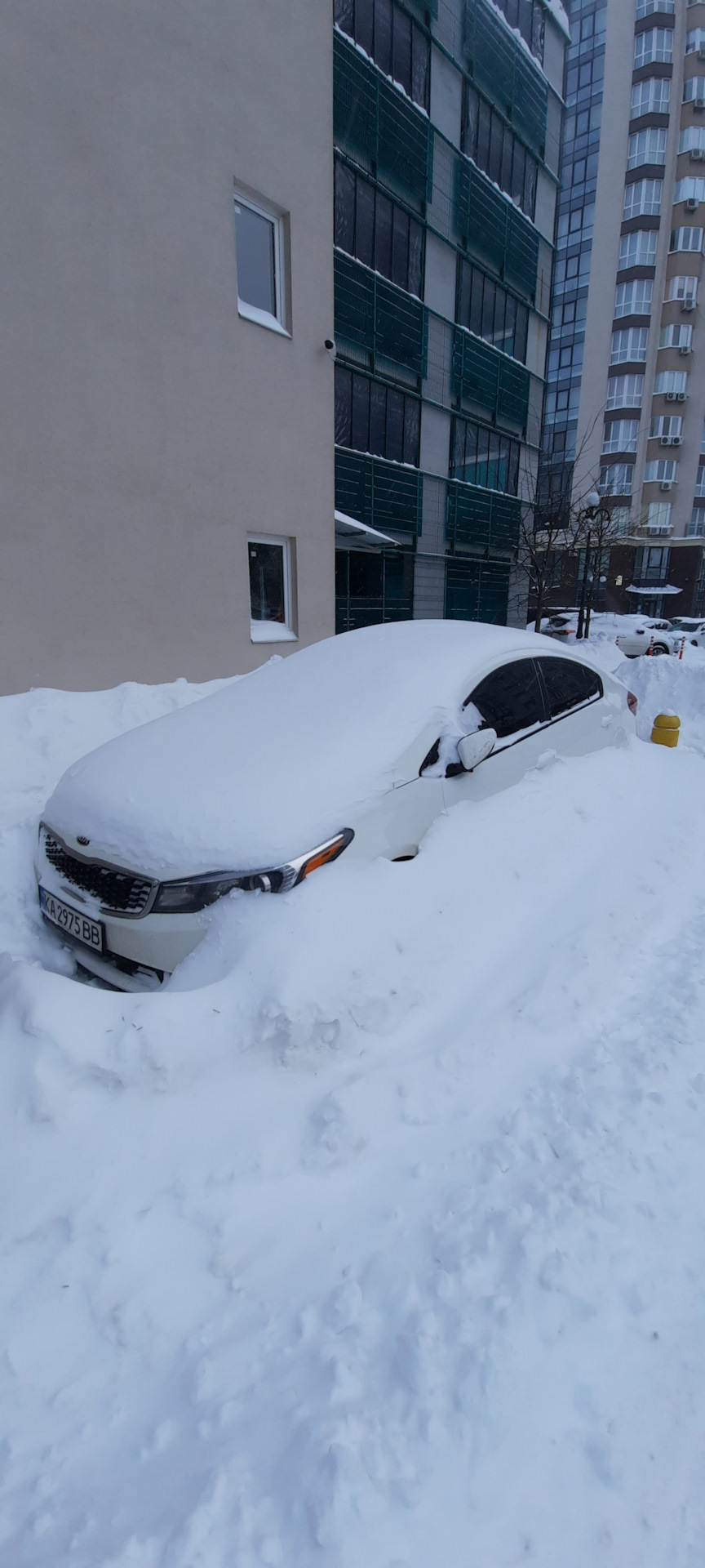 Сугроб) 1