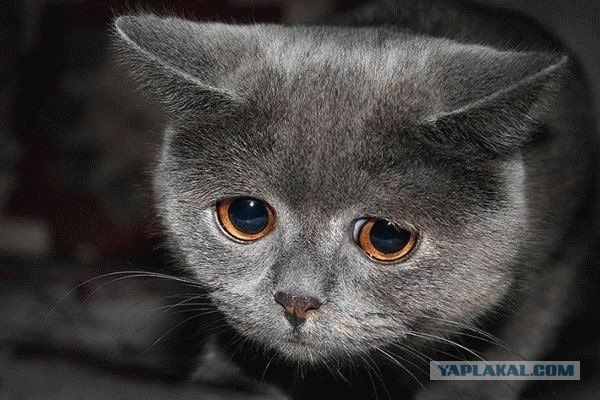 Мене хтось прокляв 1