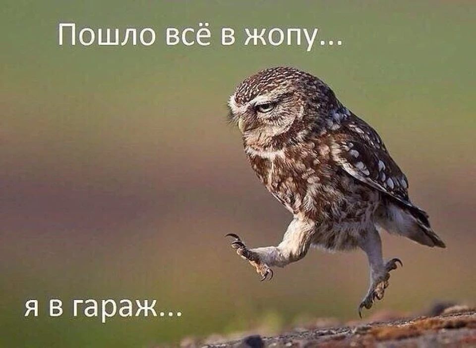 Вії :3