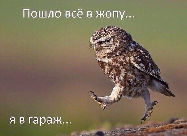 Вії :3 1