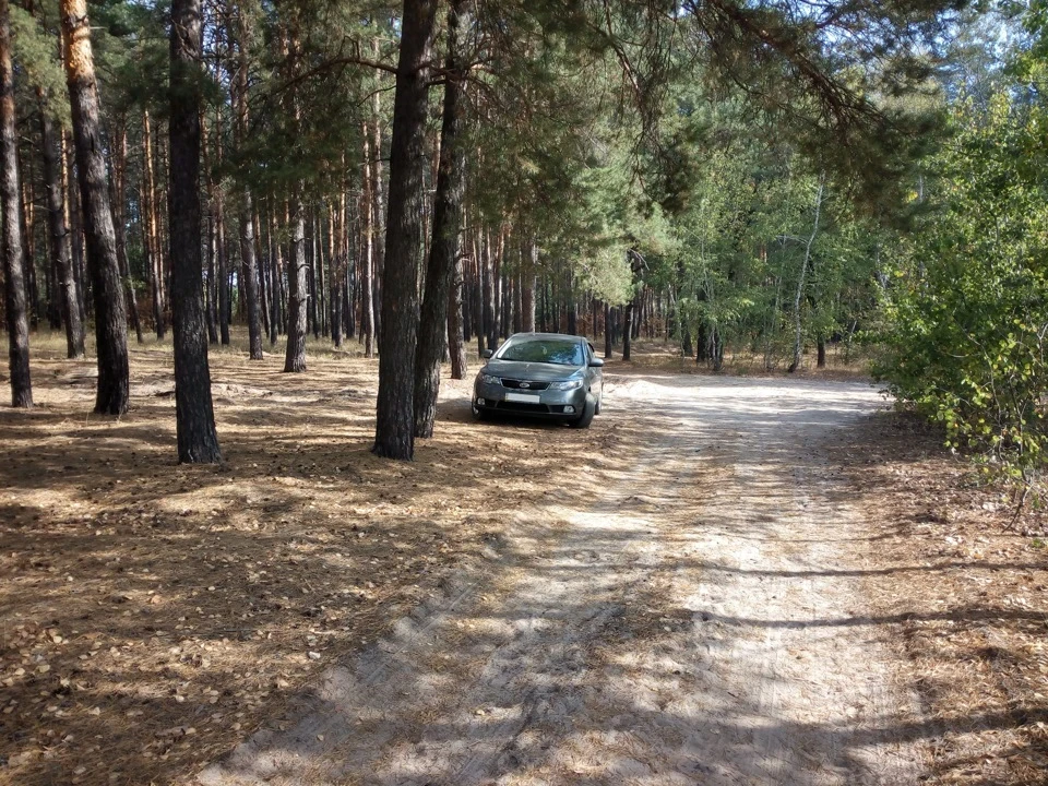 Катався з дитиною в лісі